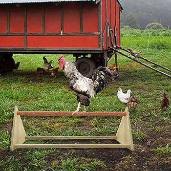 Amazon.co.jp: バードスタンド | オウム用木製トレーニングパーチ | 鶏